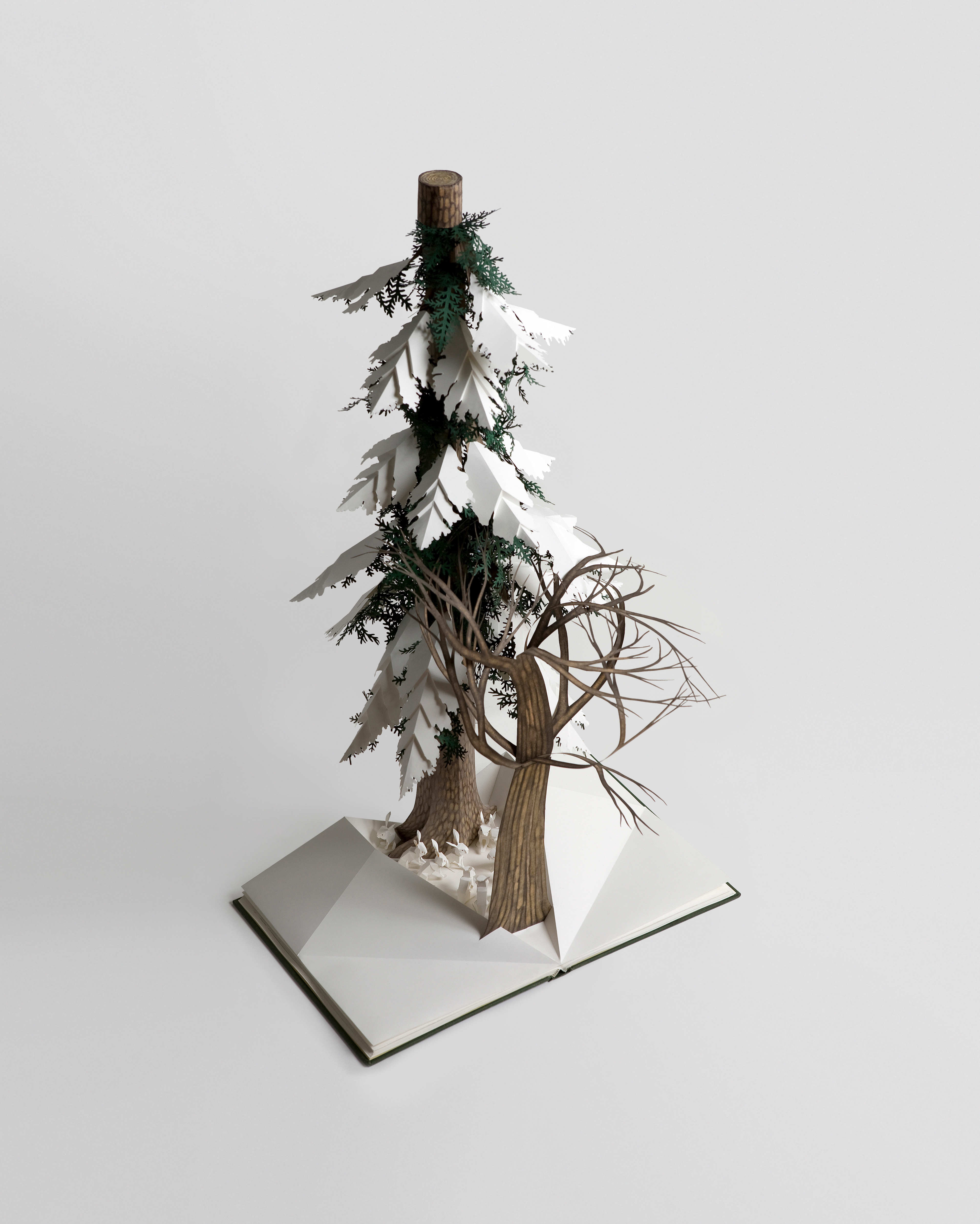 pop up book featuring pine tree in snow