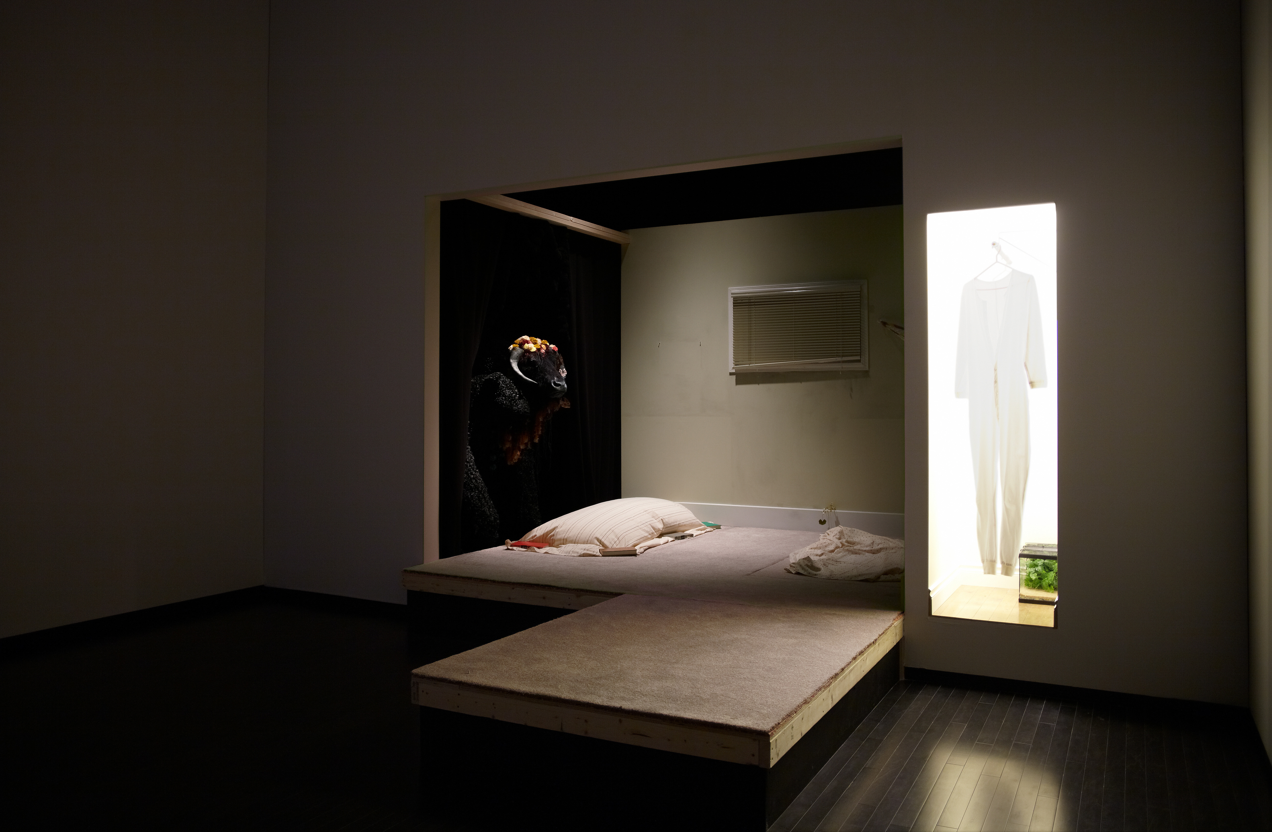 gallery installation of a modified domestic interior